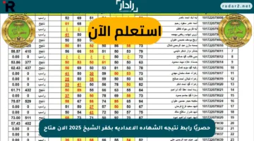 حصريًا رابط نتيجة الشهادة الإعدادية بكفر الشيخ 2025 الآن متاح